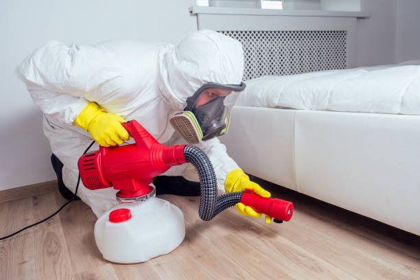 Best Fumigation Services  in Blue Jay, OH